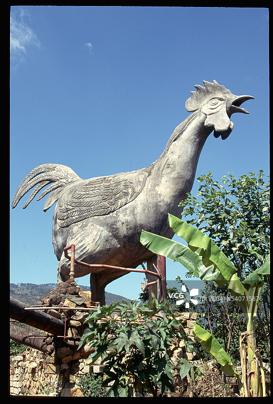 越南大叻附近的大型鸡雕塑图片素材