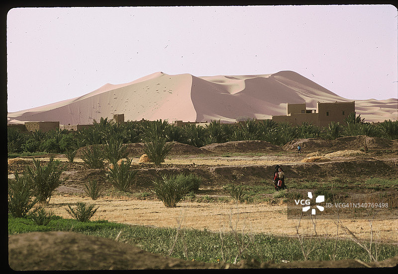 阿尔及利亚村庄附近的沙丘图片素材