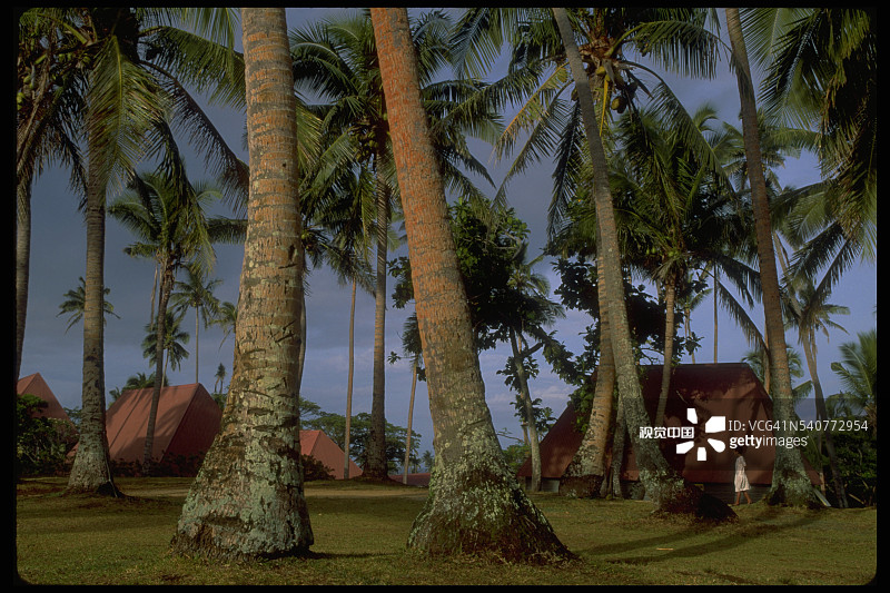 斐济村庄的房屋图片素材