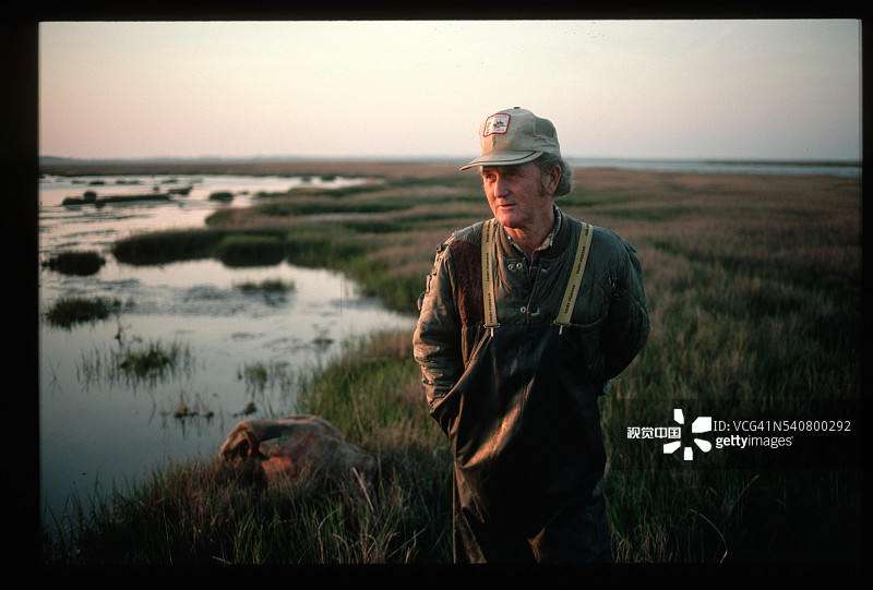 诱饵制造者在沼泽中设陷阱图片素材