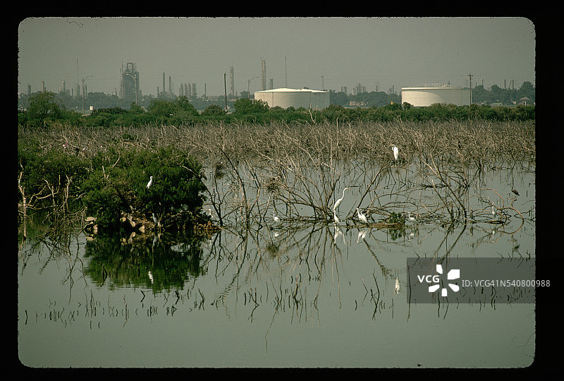 布法罗河口鸟类保护区图片素材