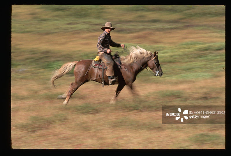 在大河草甸上骑马图片素材