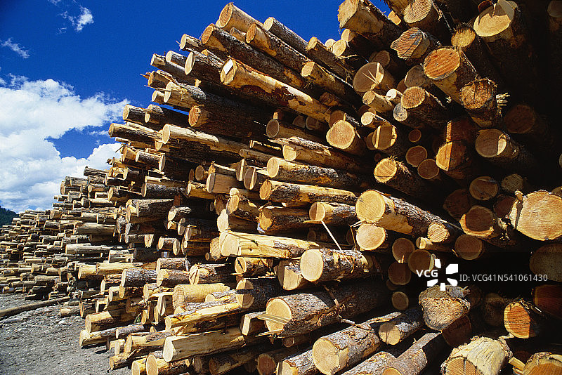 成堆的木头图片素材