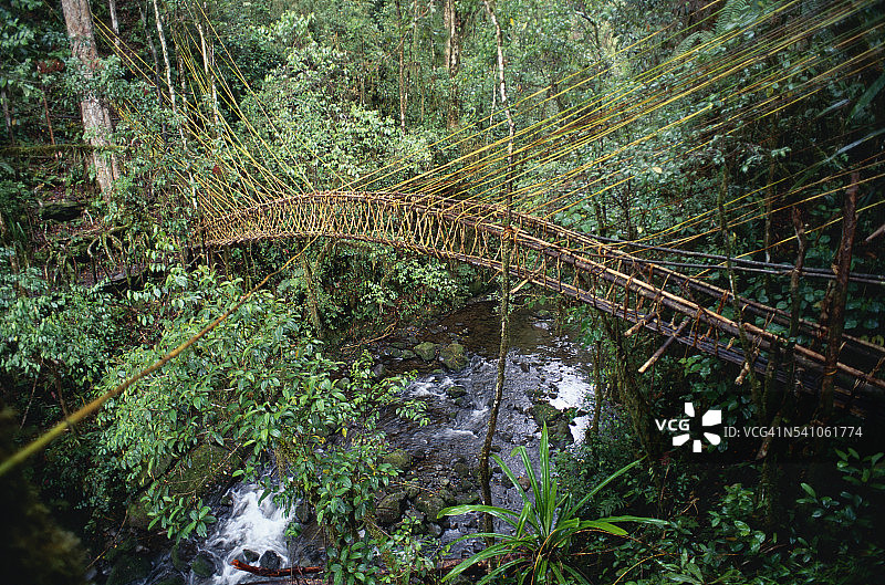 巴布亚新几内亚藤蔓吊桥图片素材