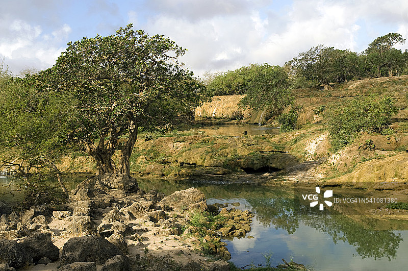 阿曼苏丹国达尔巴特河谷图片素材