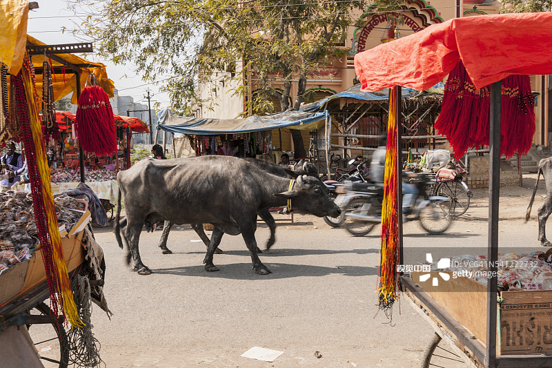 乌贾因市中心的日常生活图片素材