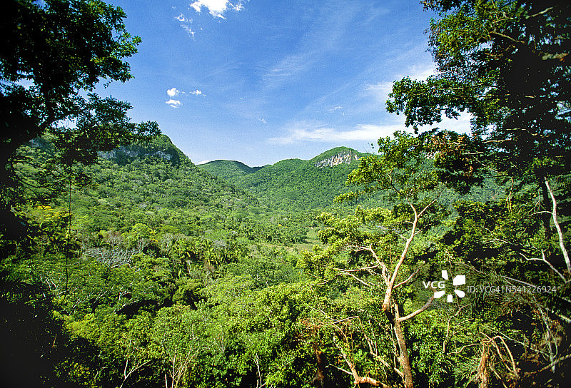 阿克敦切赫姆哈洞穴附近的森林图片素材