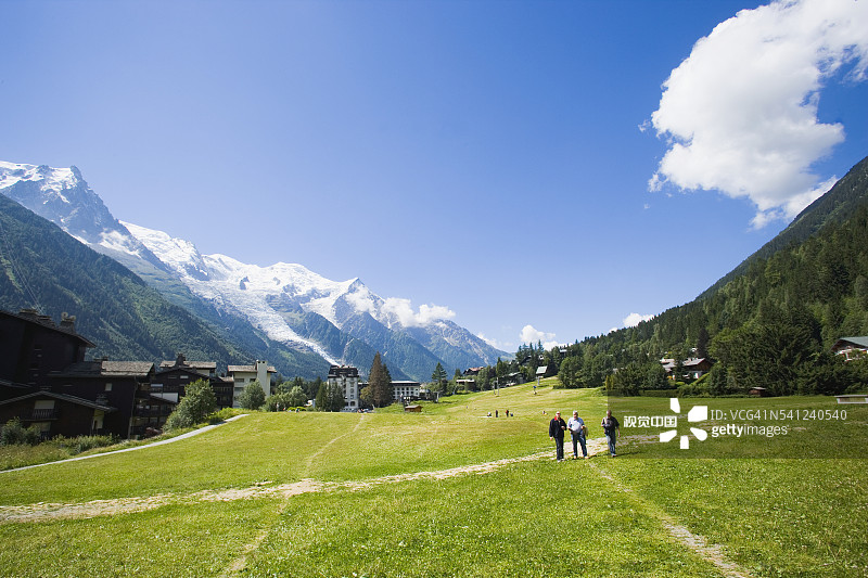 霞慕尼勃朗峰和草地图片素材