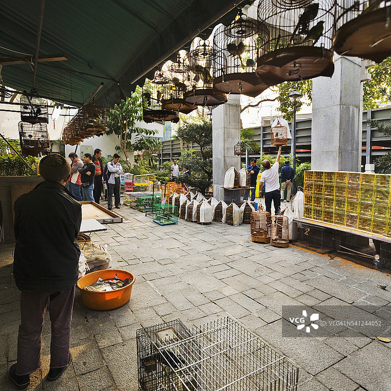 香港九龙的雀鸟市场图片素材