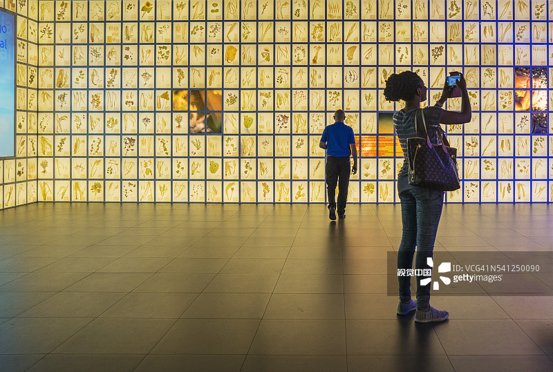 2015年世博会俄罗斯馆图片素材