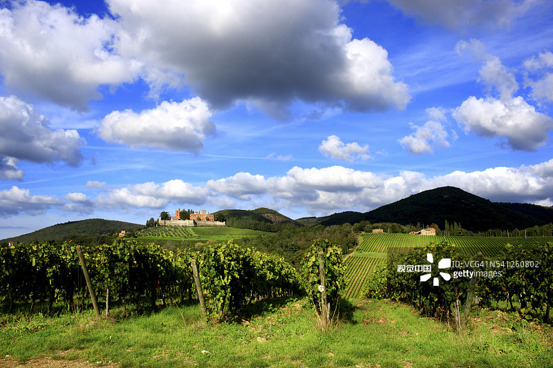 从葡萄园看到的布罗利奥城堡图片素材