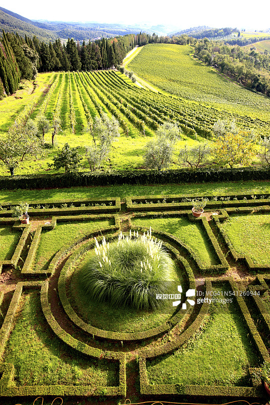 从布罗利奥城堡看到的葡萄园景色图片素材