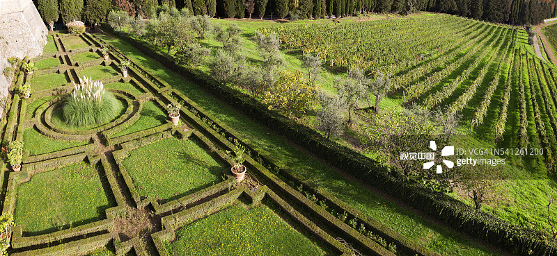 从布罗利奥城堡看到的葡萄园景色图片素材