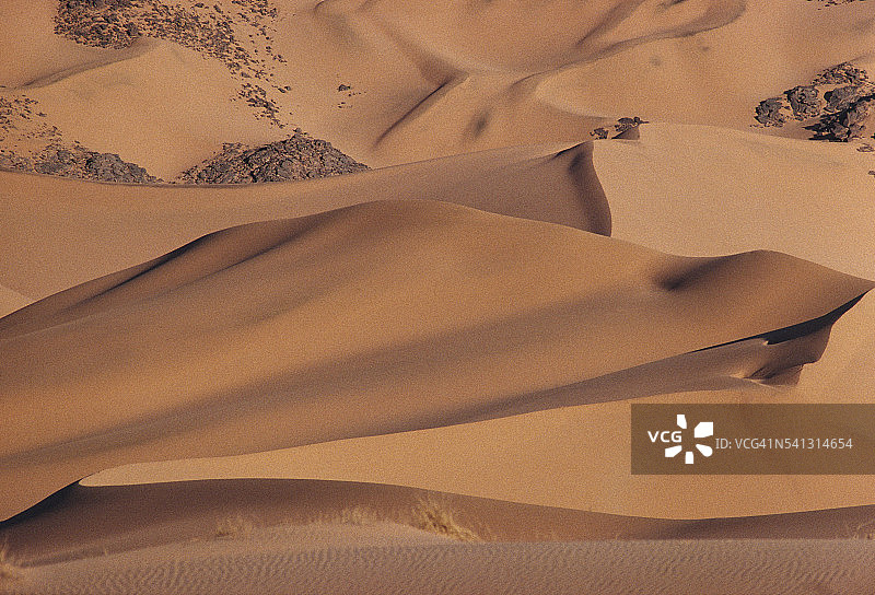 泰内雷自然保护区图片素材