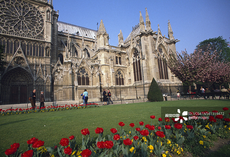 巴黎圣母院的鲜花图片素材