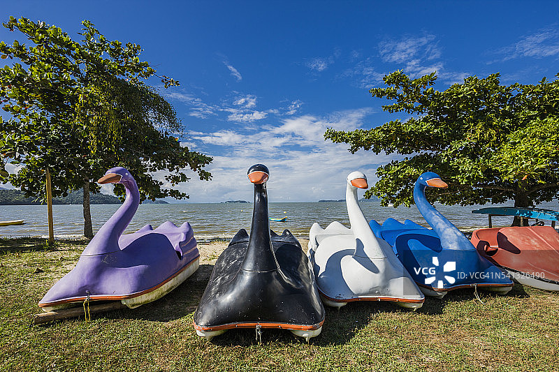 有趣的白天鹅造型脚踏船图片素材