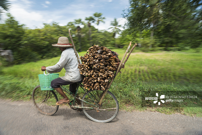 在暹粒附近骑自行车运木材图片素材
