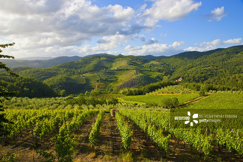 意大利基安蒂地区的加iole图片素材