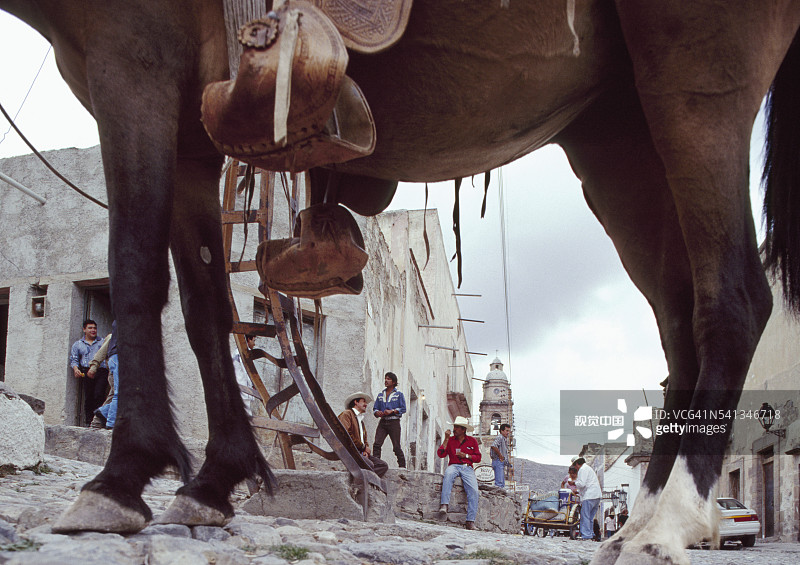 在雷亚尔·德卡托斯的马和牛仔图片素材