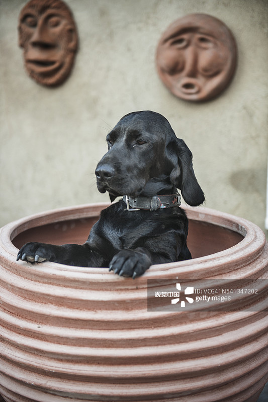 陶器工作室图片素材