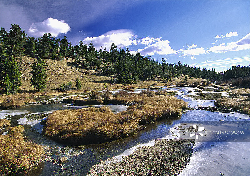 落基山国家公园的海狸栖息地图片素材