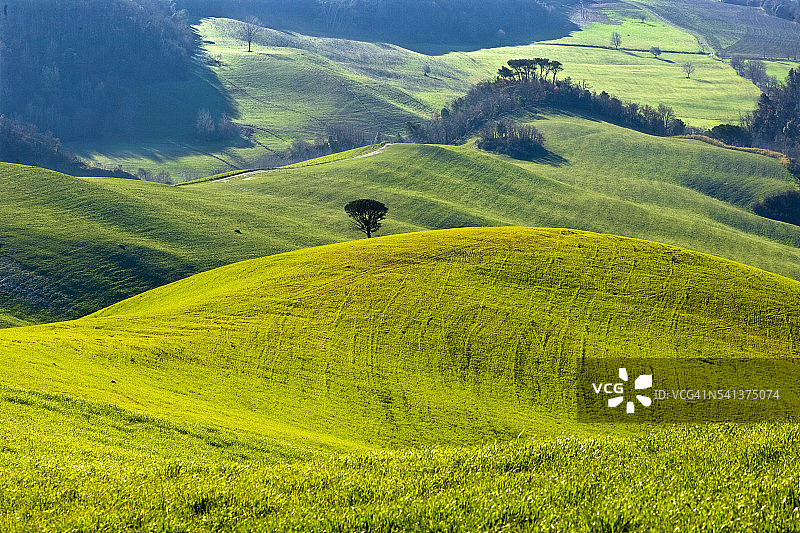 沃尔泰拉附近的绵延山丘图片素材