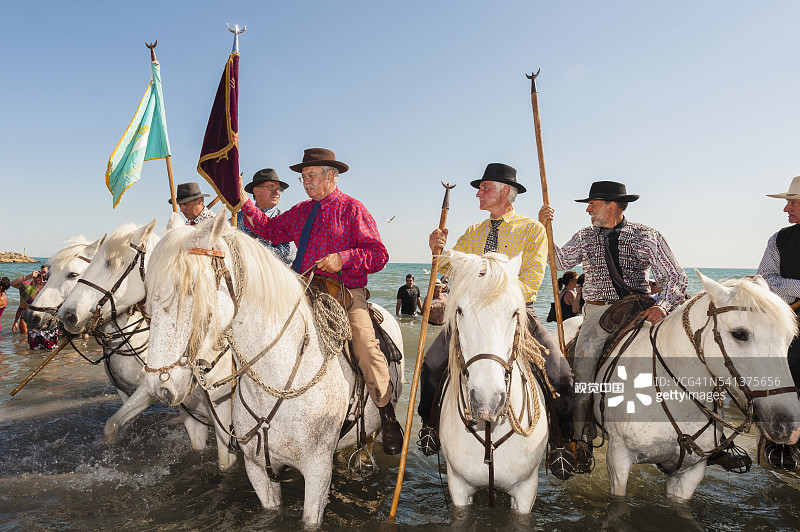 卡马格 - 吉普赛朝圣，圣萨拉雕像游行图片素材