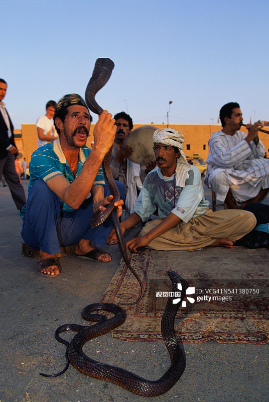 玩蛇人 holding 眼镜蛇图片素材