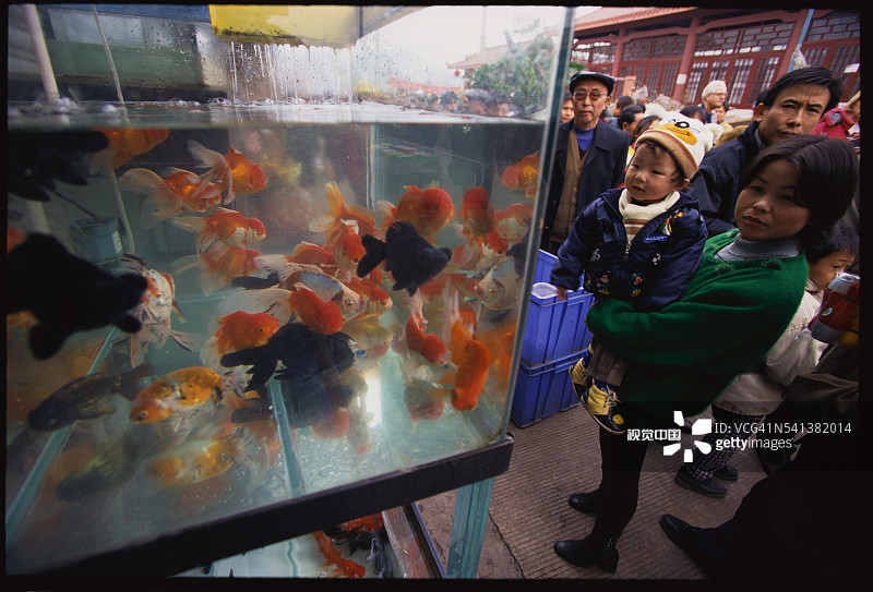 人们参观宠物鱼市场图片素材