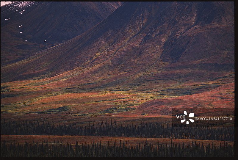 秋季的彩色通道图片素材