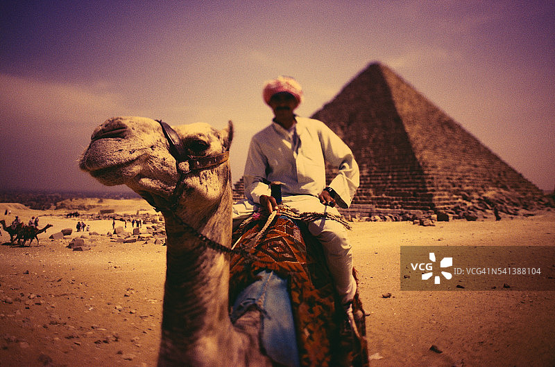 吉萨金字塔的骆驼骑手图片素材