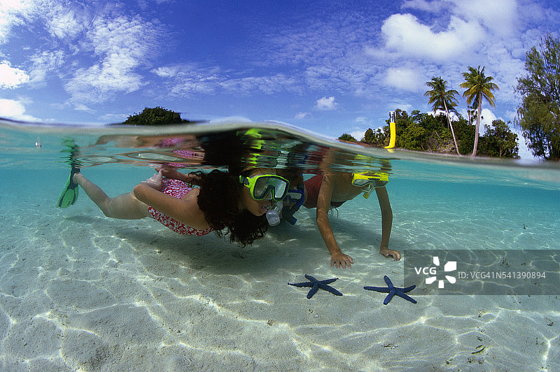 浮潜者发现海星图片素材