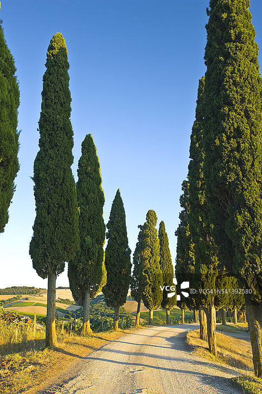 托斯卡纳Crete Senesi地区的泥路图片素材