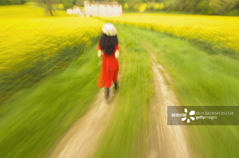 穿着红色连衣裙走在夏日田野中的女孩图片素材