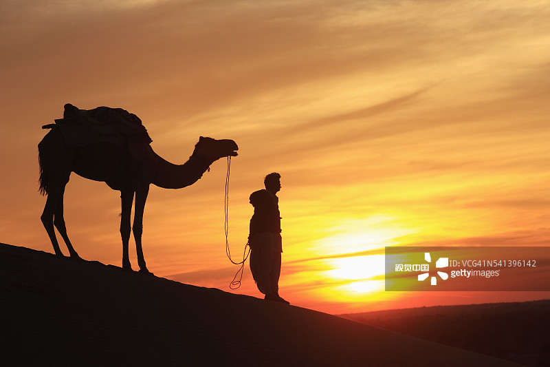 日落时沙丘上的骆驼与骆驼骑手图片素材