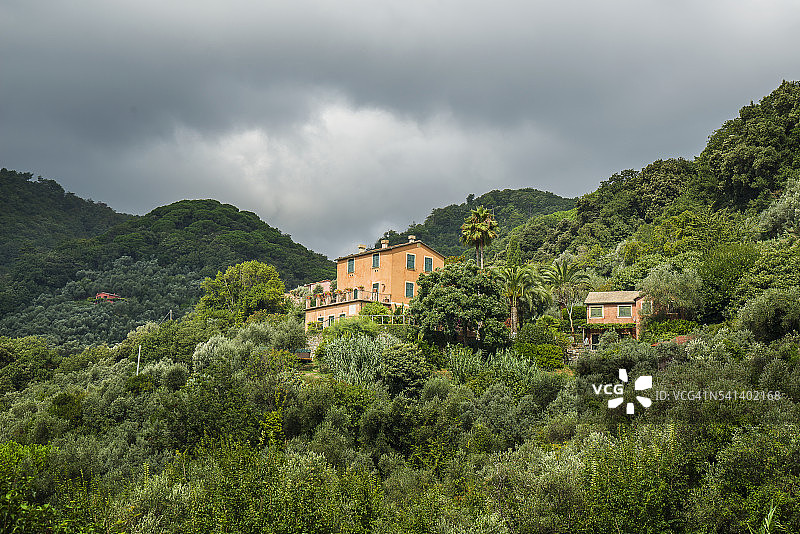 通往菲诺港小路旁的漂亮房子图片素材