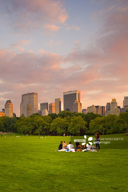 中央公园绵羊草地上的野餐者图片素材