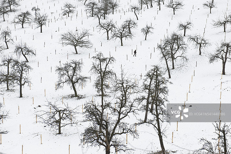 捷克共和国布拉格洛布科维茨花园图片素材