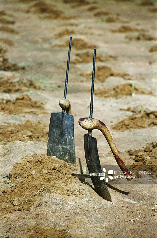 田地里的两把锄头图片素材