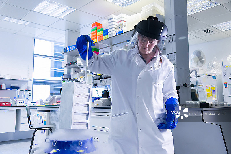 癌症研究实验室，女科学家将储存在零度以下的细胞放入液氮冷冻保存室图片素材