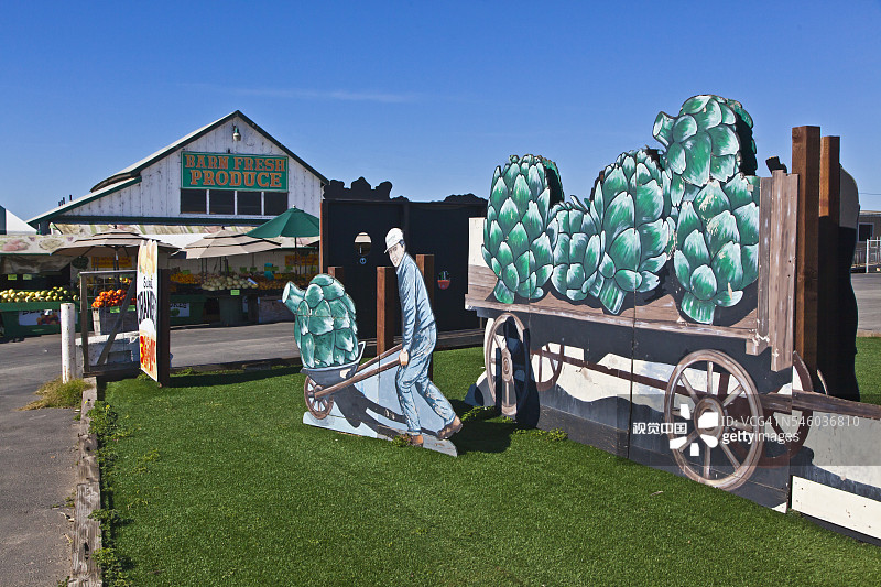 加利福尼亚州莫斯兰丁的农产品摊位和朝鲜蓟图片素材