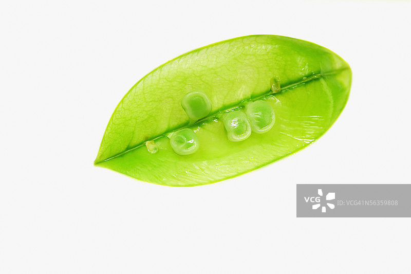 打开的豌豆荚特写图片图片素材