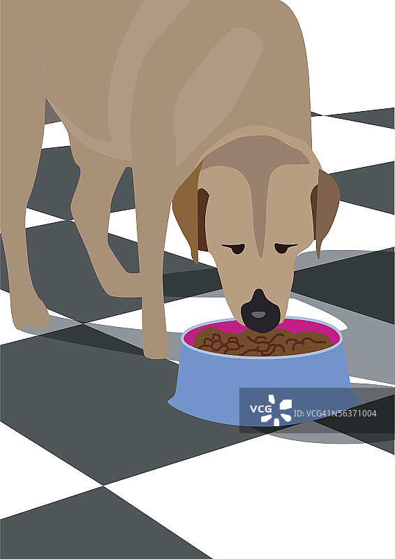 小狗吃食特写图片素材