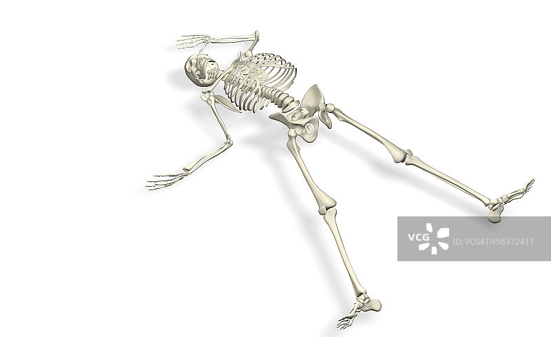 躺着的人体骨骼特写图片素材