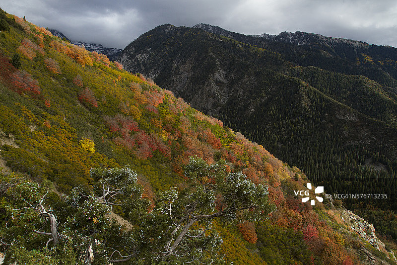 秋叶与山脉图片素材