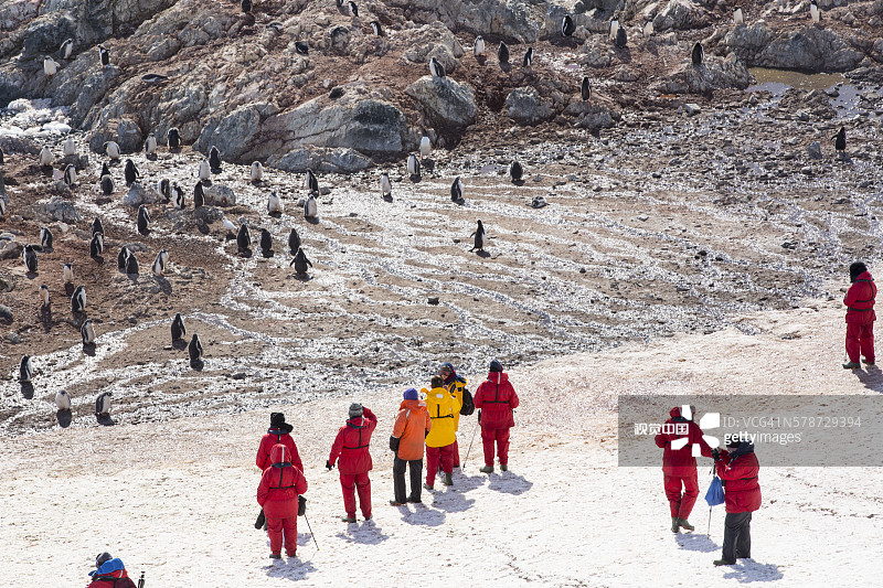 南极洲 Joinville 岛西端马德悬崖的阿德利企鹅图片素材