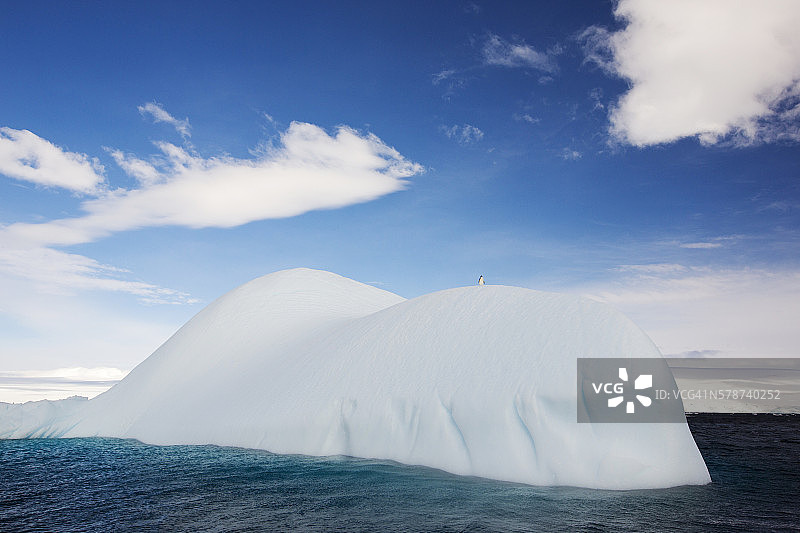 南极洲 Joinville 岛西端 Madder Cliffs Suspiros 湾附近冰山上的一只阿德利企鹅图片素材