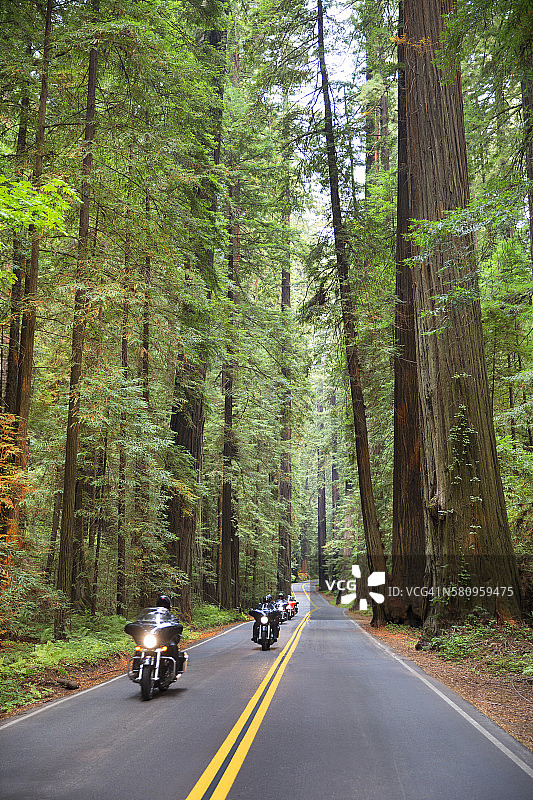 红木国家公园图片素材