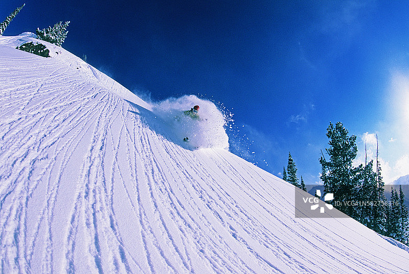 在犹他州阿尔塔附近的偏远地区滑雪图片素材