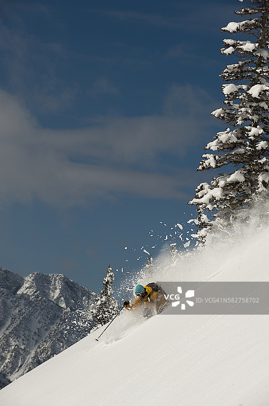 犹他州阿尔塔的粉雪滑雪图片素材